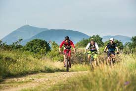 Exploration Naturelle en VTT Randonnée : Vivez l’Aventure à Deux Roues