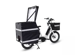 velo electrique cargo