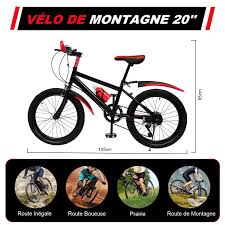 vtt 20 pouces