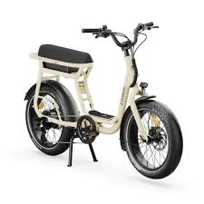 velo electrique 2 places